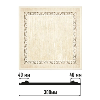 D30-6/5* Вставка(300*300 мм)